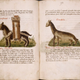 Illustration for article titled How Europeans Imagined Exotic Animals Centuries Ago, Based on Hearsay